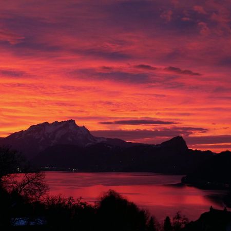 Appartement Seelewaermerli - Balsam Fuer Ihre Seele Seelisberg Buitenkant foto