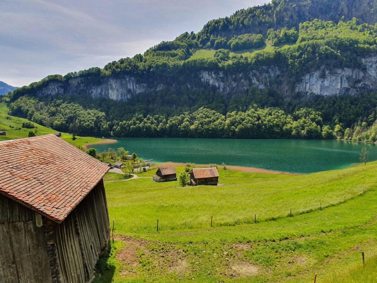Appartement Seelewaermerli - Balsam Fuer Ihre Seele Seelisberg Buitenkant foto