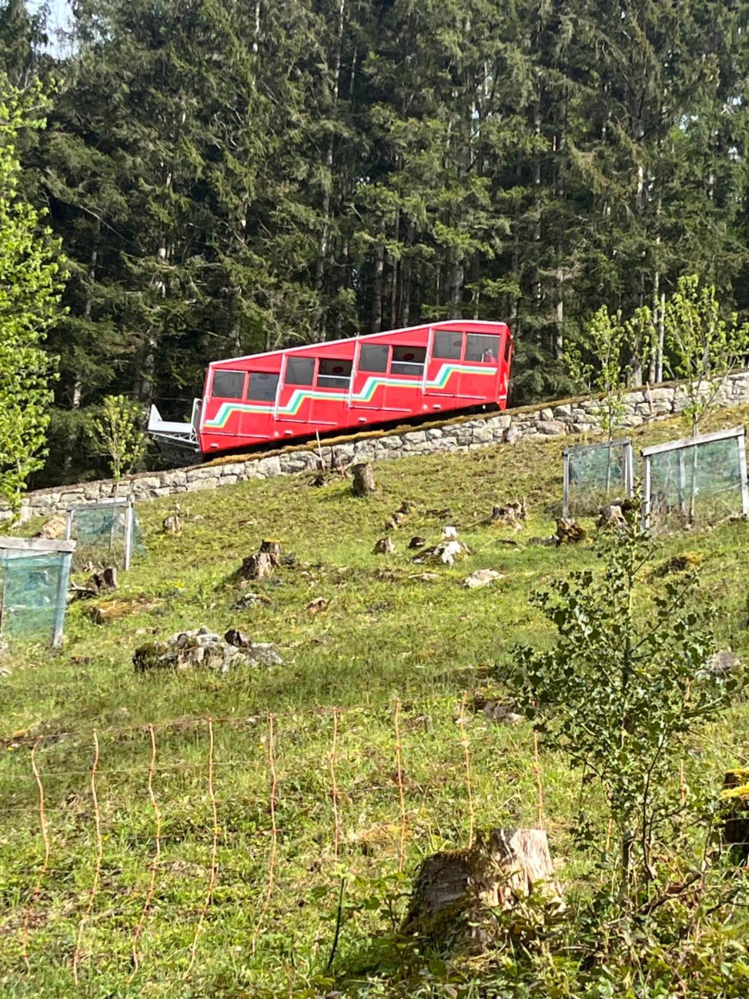Appartement Seelewaermerli - Balsam Fuer Ihre Seele Seelisberg Buitenkant foto